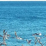 Casale Degli Ulivi 4*