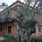 Casale Degli Ulivi Cirò Marina