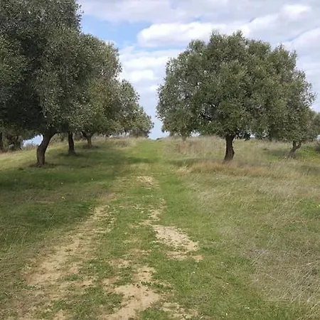 Casale Degli Ulivi Frühstückspension Cirò Marina