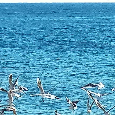 Casale Degli Ulivi 4*