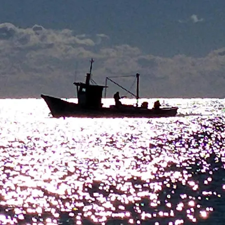 Casale Degli Ulivi 4*