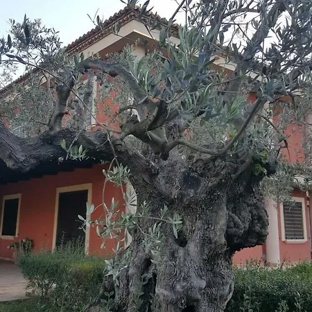 Casale Degli Ulivi Cirò Marina