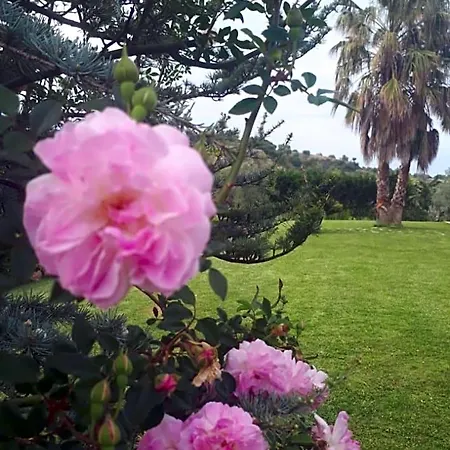 Casale Degli Ulivi Bed & Breakfast Cirò Marina