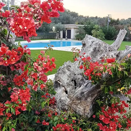 Casale Degli Ulivi Cirò Marina