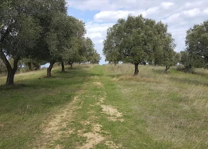 Casale Degli Ulivi Panzió Cirò Marina