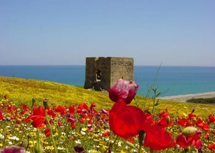 Casale Degli Ulivi 4* Cirò Marina