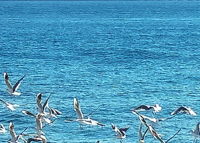 Casale Degli Ulivi 4*